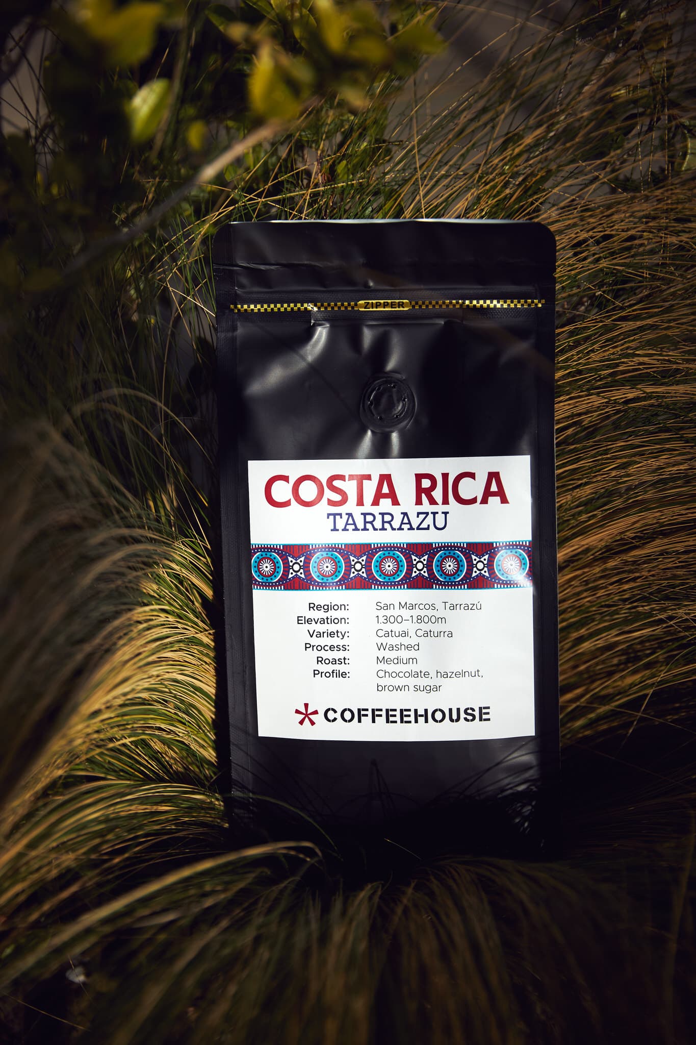 Coffeehouse TasteHabitat – Costa Rica Tarrazu Campaign