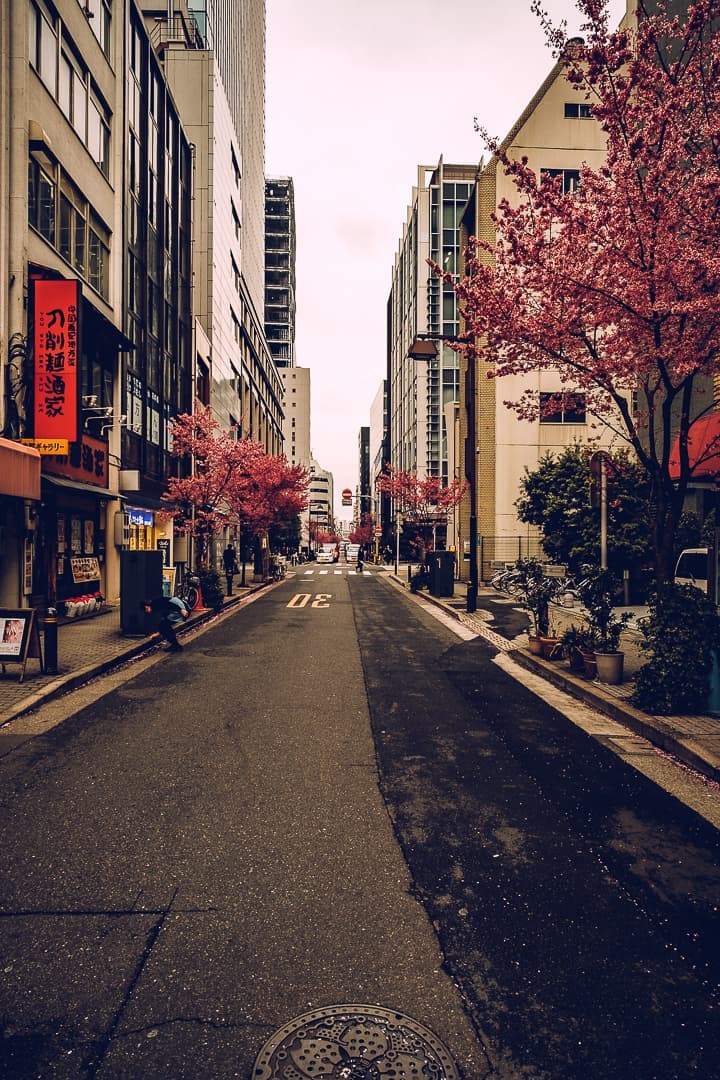streets of japan